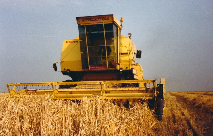 foto
